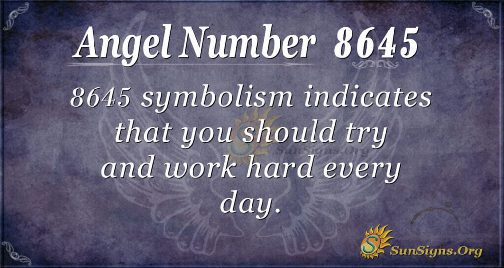8645 angel number