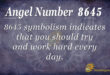 8645 angel number