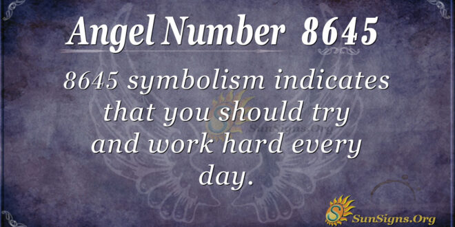 8645 angel number