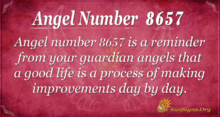 8657 angel number