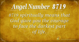 8719 angel number