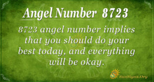8723 angel number