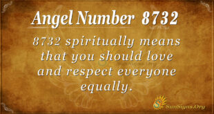 8732 angel number