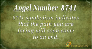 8741 angel number
