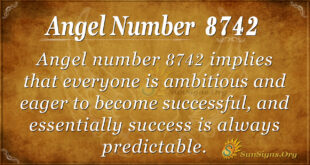 8742 angel number