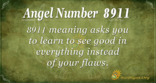 8911 angel number