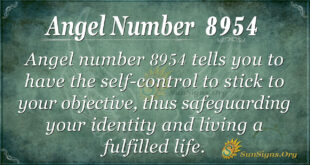 8954 angel number
