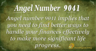 9041 angel number
