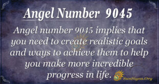 9045 angel number