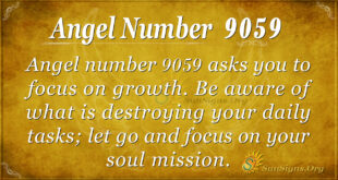 9059 angel number