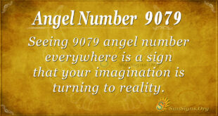 9079 angel number