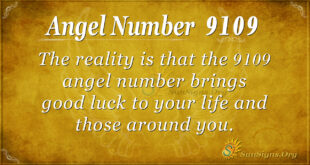 9109 angel number