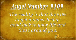9109 angel number