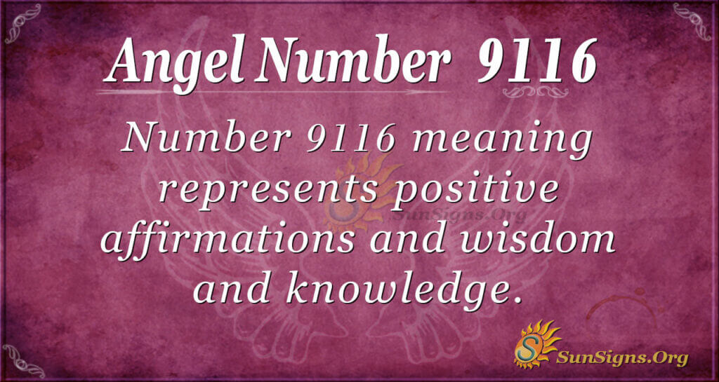 9116 angel number