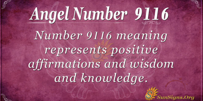 9116 angel number