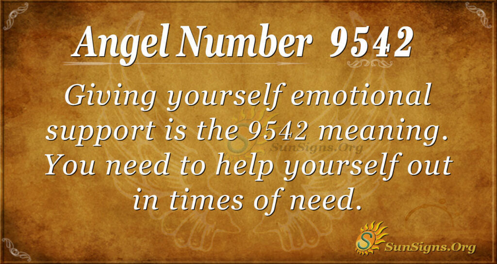 9542 angel number