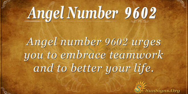 9602 angel number