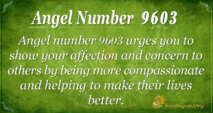 9603 angel number
