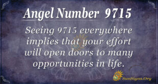 9715 angel number