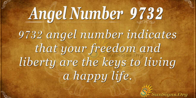 9732 angel number