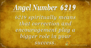 6219 angel number