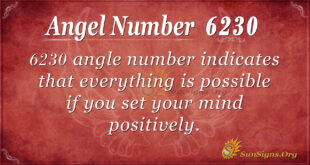 6230 angel number