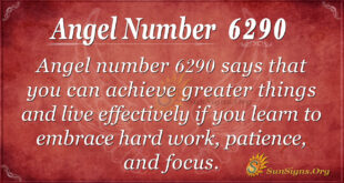 6290 angel number