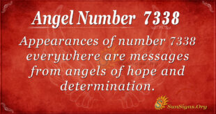 7338 angel number