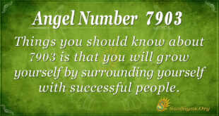 7903 angel number