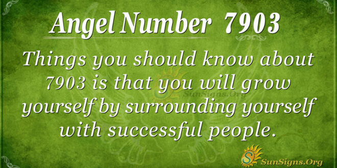 7903 angel number