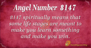 8147 angel number
