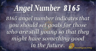 8165 angel number