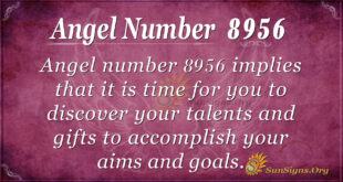 8956 angel number