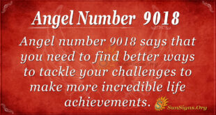 9018 angel number