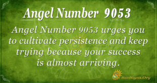 9053 angel number
