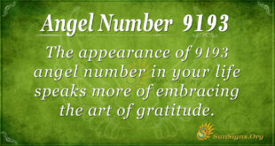 9193 angel number