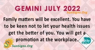 gemini july 2022