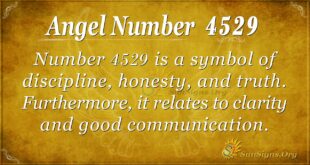 Angel Number 4529