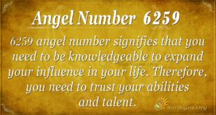 Angel Number 6259
