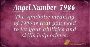 7986 angel number