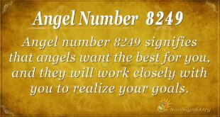8249 angel number