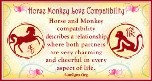 horse monkey compatibility