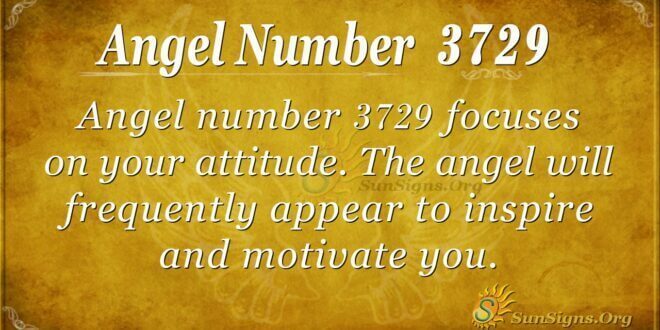 Angel Number 3729