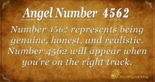 4562 angel number