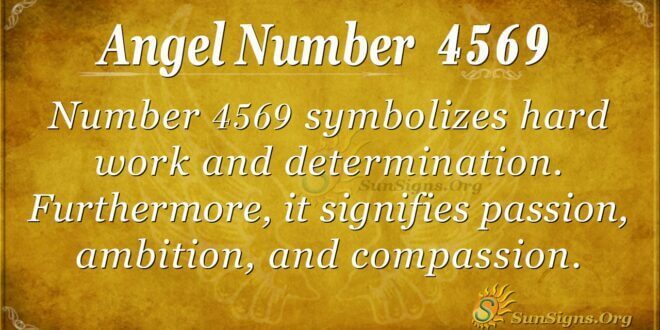 4569 angel number