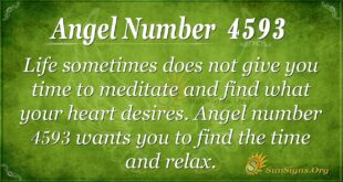 Angel Number 4593