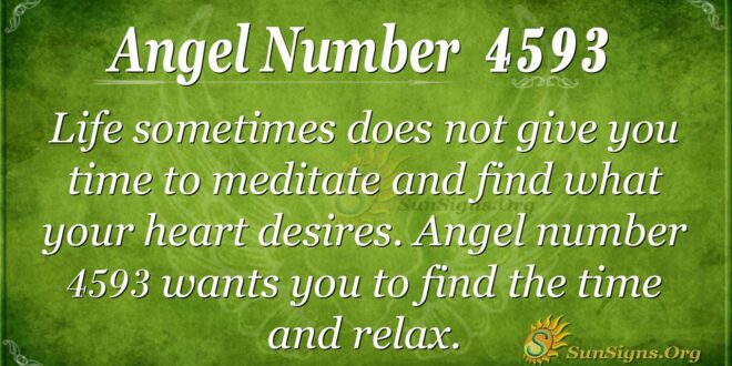Angel Number 4593