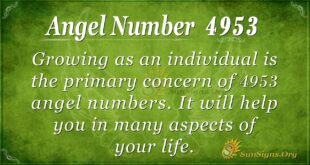 4953 angel number