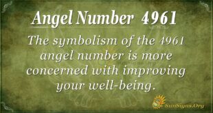 Angel Number 4961