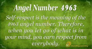 Angel Number 4963